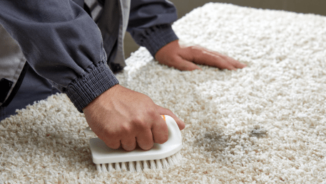 Professional Rug Cleaning Bunkers Hill